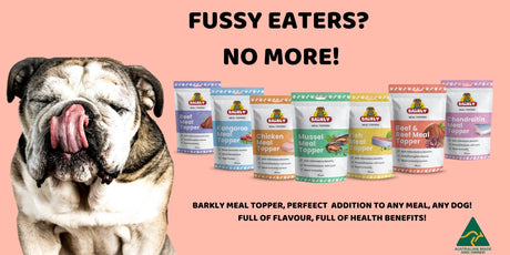 🐾 Elevate Your Pup's Mealtime Experience with Barkly Dog Meal Topper! 🐾 - BARKLY