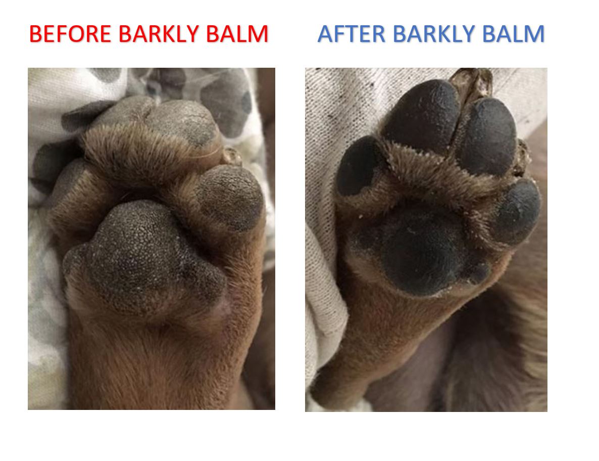 Comparison of a dog's paw before and after using Organic Dog Balm